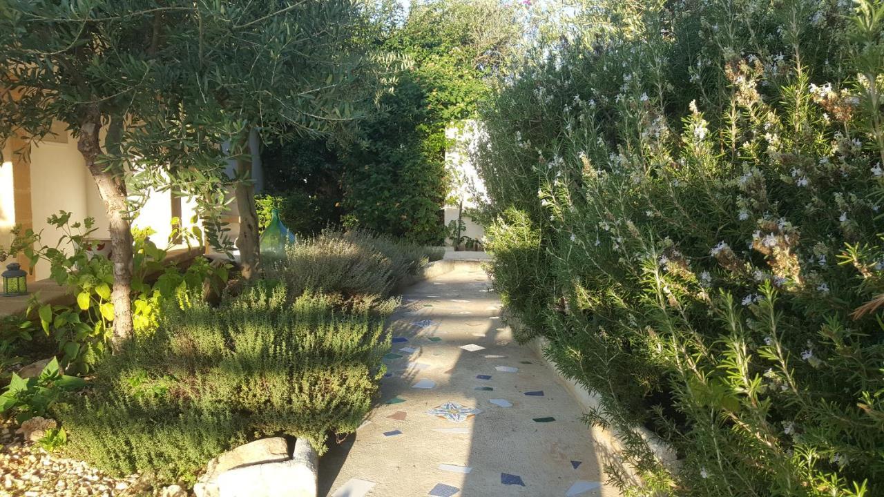 Villa Ceni - Appartamenti Con Camere, Cucina, Wc E Terrazza Sul Mare In Villa Con Piscina, Giardino E Parcheggio Marinella di Selinunte Exteriör bild